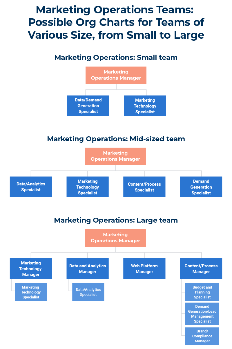 Marketing Operations Different Sized Teams