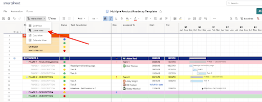 Roadmap View Your Roadmap in Gantt View