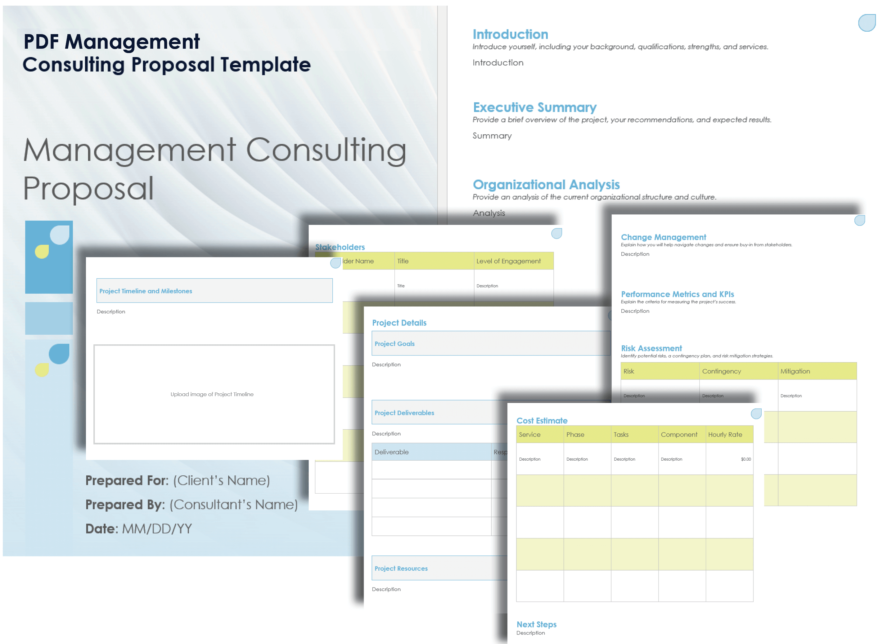 PDF Management Consulting Proposal Template PDF