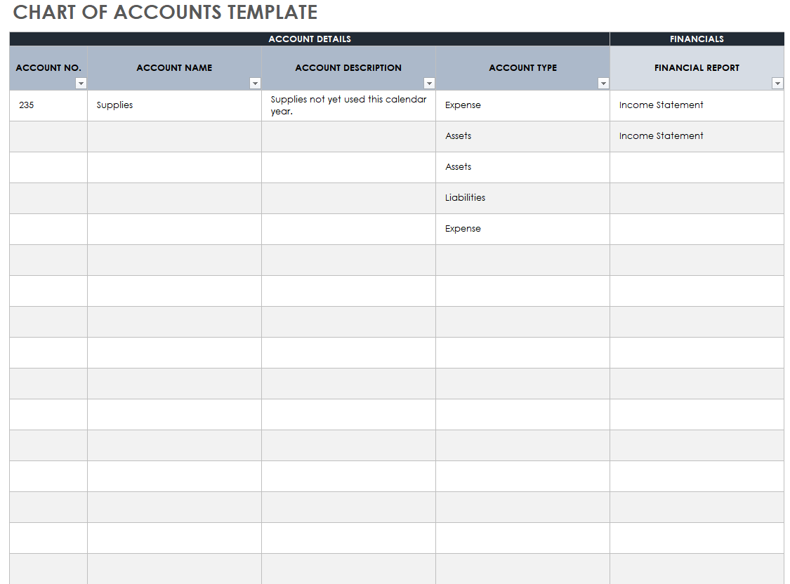 Chart of Accounts Template