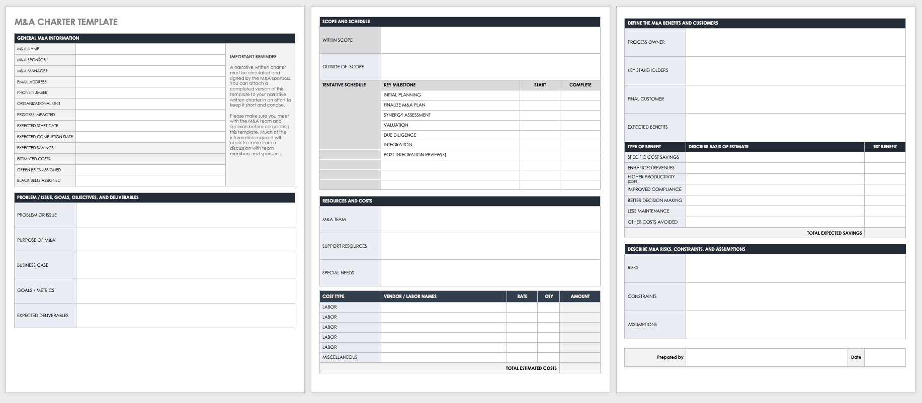 Merger and Acquisition Project Charter Template